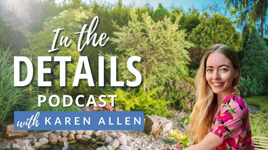 In The Details Podcast Cover