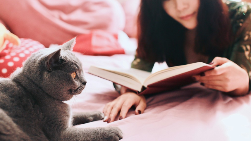 Person reading with cat in foreground